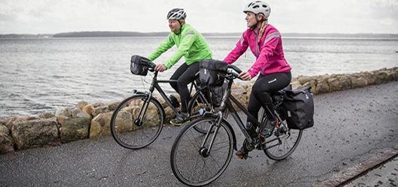 De 4 færger