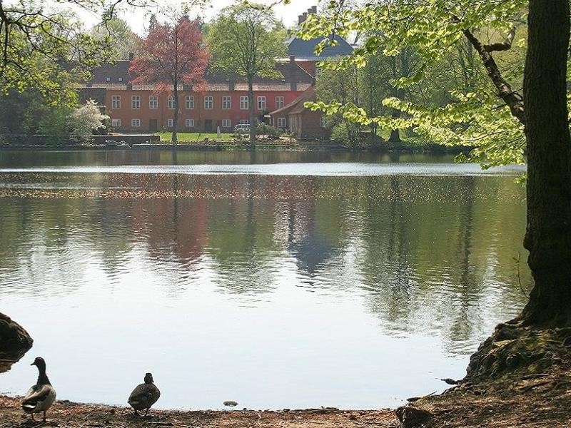 Langesø og Elmelundskoven