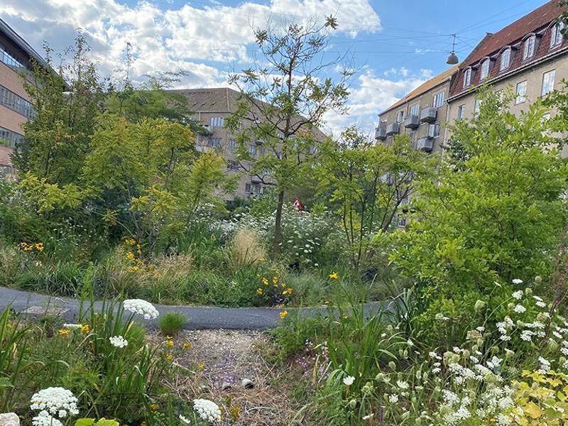 Grønne Østerbro