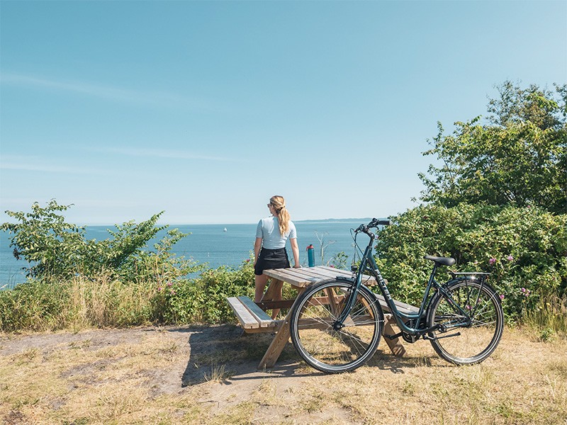 Kunst og kultur på cykel – 3 museumsoplevelser på én dag