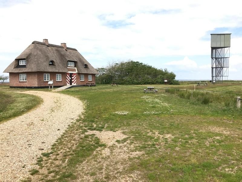 Værnengeturen