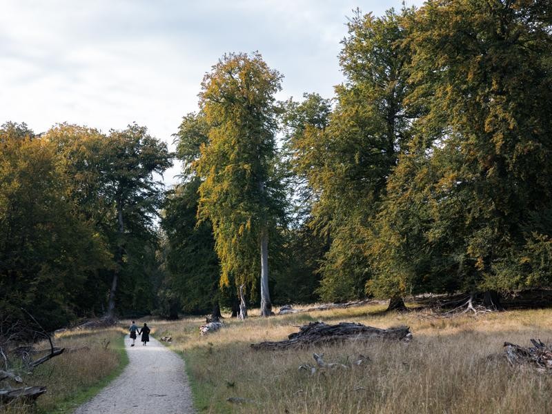 Copenhagen Beyond